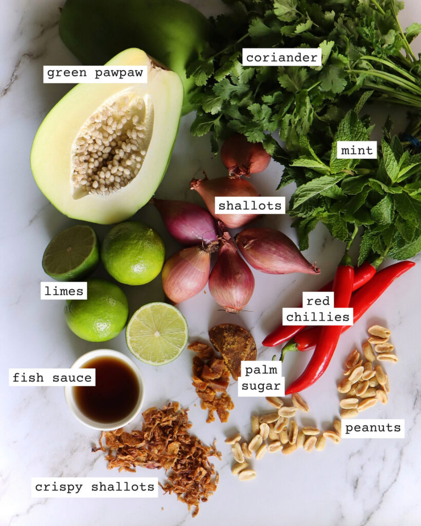 Thai inspired salad ingredients on a white marbled counter.