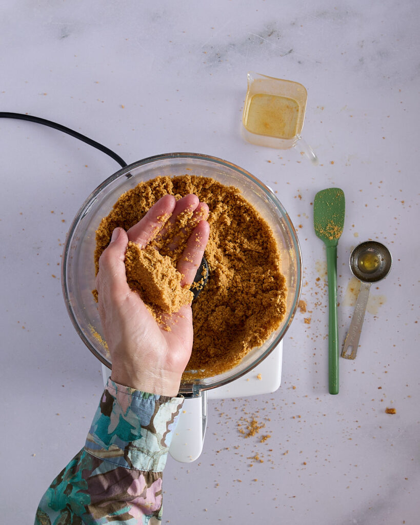 Sandra holds a clump of processed biscuit crumbs over a food processor, testing the texture for a tart crust.