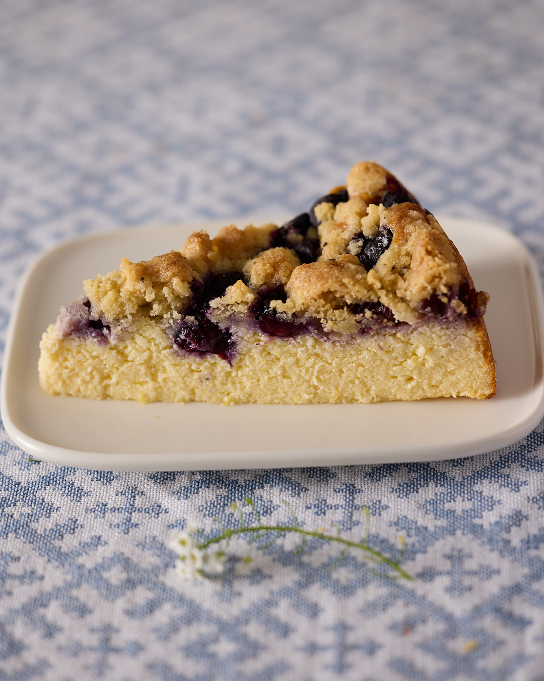 Close-up slice of blueberry rosemary crumble cheesecake on a white plate, showing the golden crumble topping and tender ricotta filling with baked blueberries.